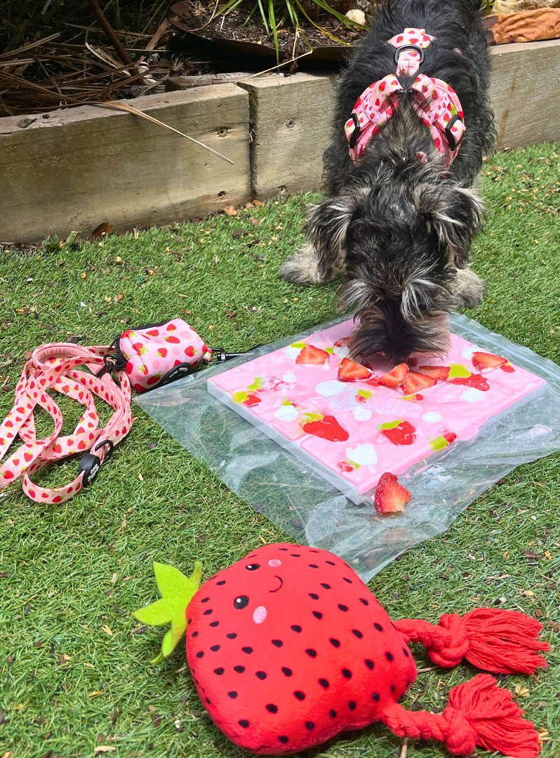 *Limited Edition* Strawberry Fields Pupcasso Paint Kit