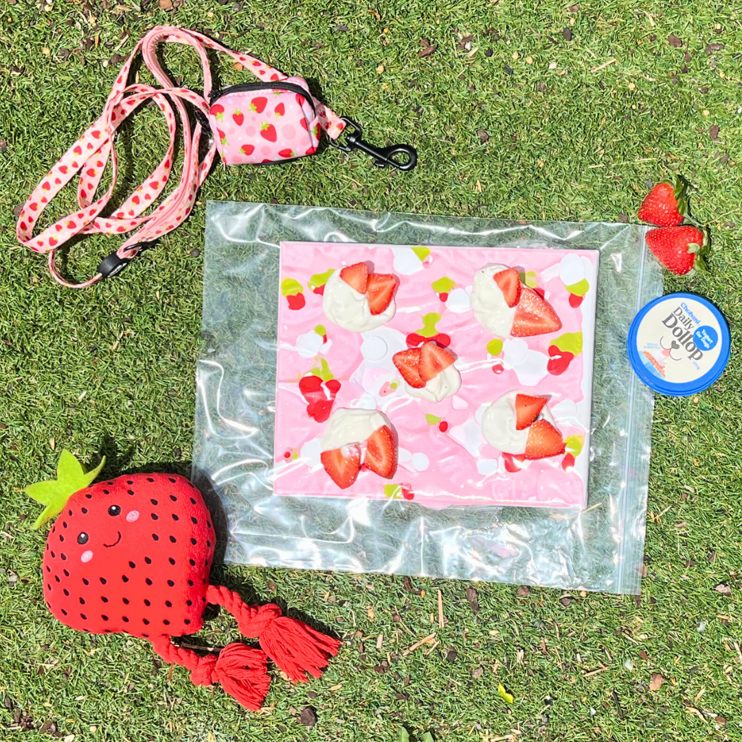 *Limited Edition* Strawberry Fields Pupcasso Paint Kit