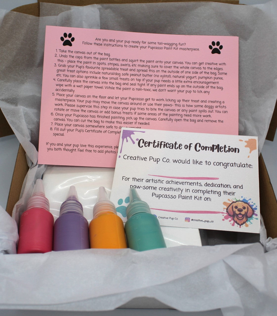 Tails of Creativity Pupcasso Paint Kit